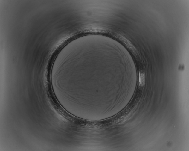 X0000099950627200806201313