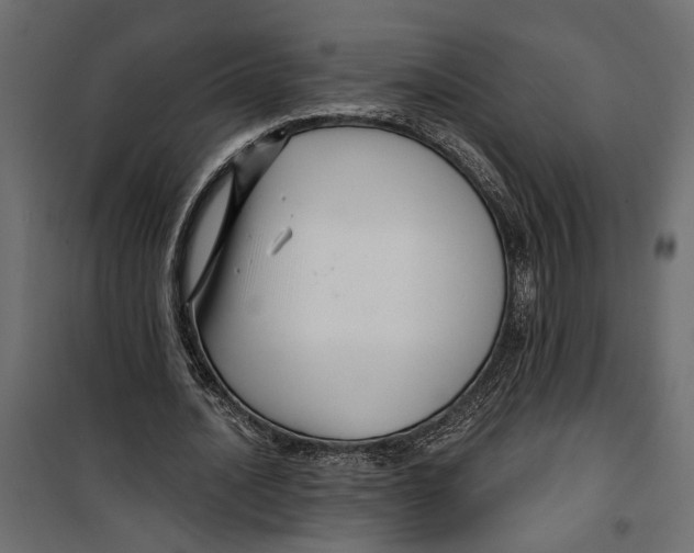 X0000099950628200806201313