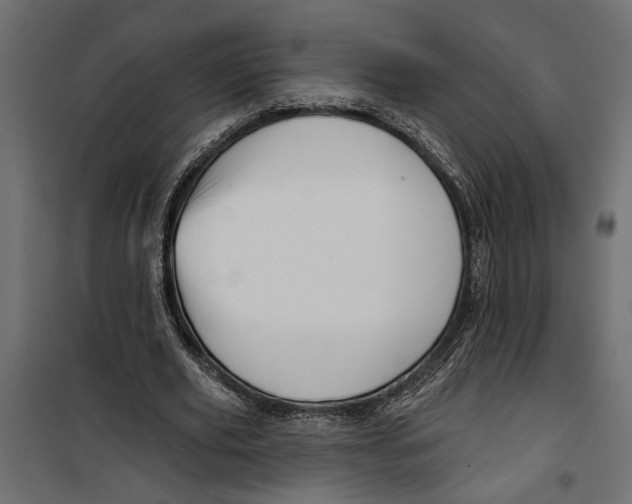 X0000099950629200806201313