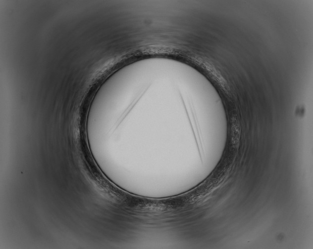 X0000099950631200806201314