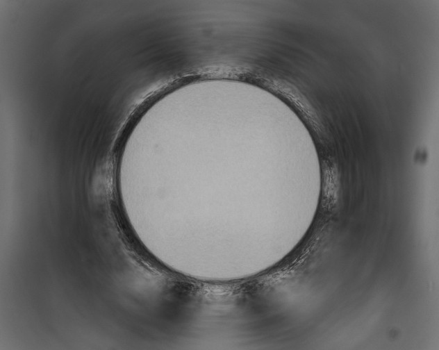 X0000099950632200806201314