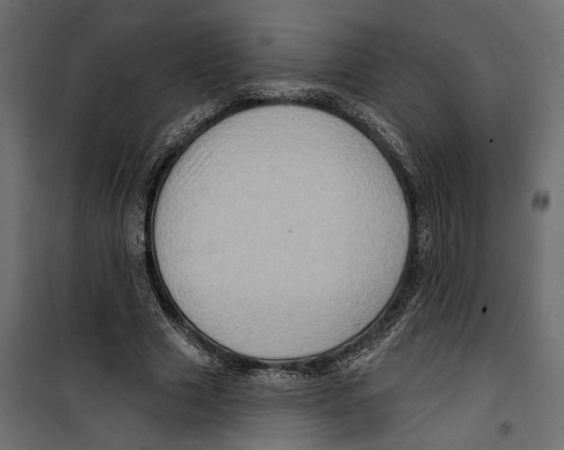 X0000099950633200806201314