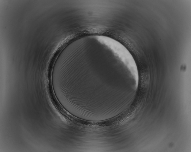 X0000099950634200806201314
