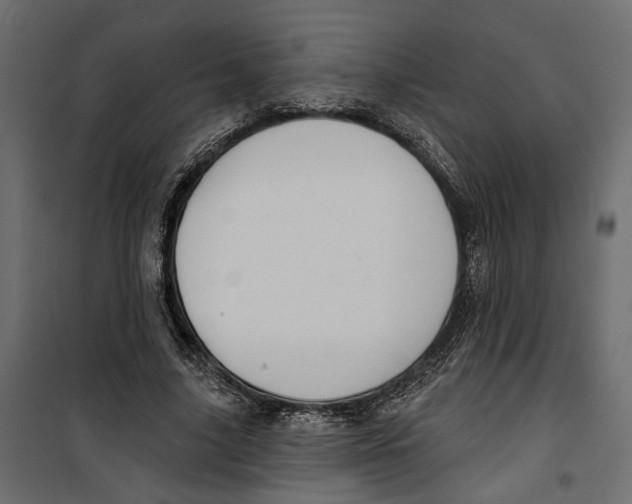 X0000099950635200806201314