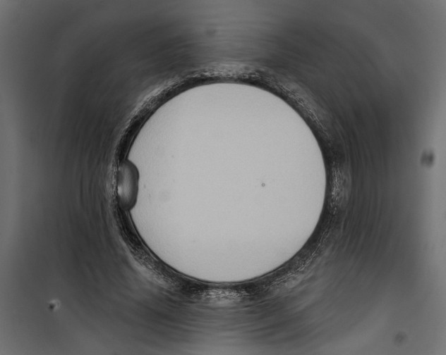 X0000099950636200806201314