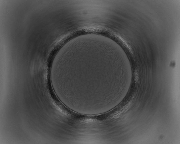 X0000099950637200806201314