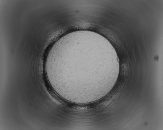 X0000099950638200806201314