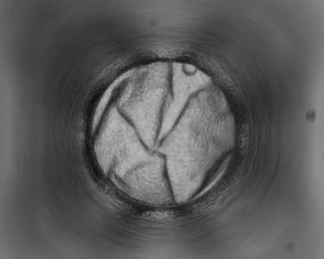X0000099950639200806201314