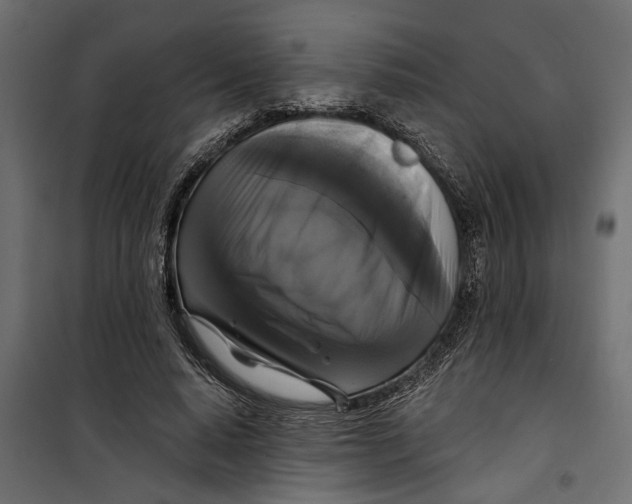 X0000099950640200806201314