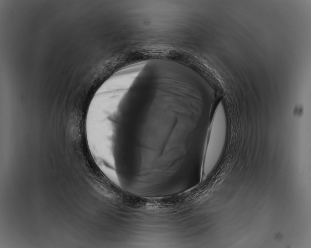 X0000099950641200806201314