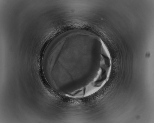 X0000099950642200806201314