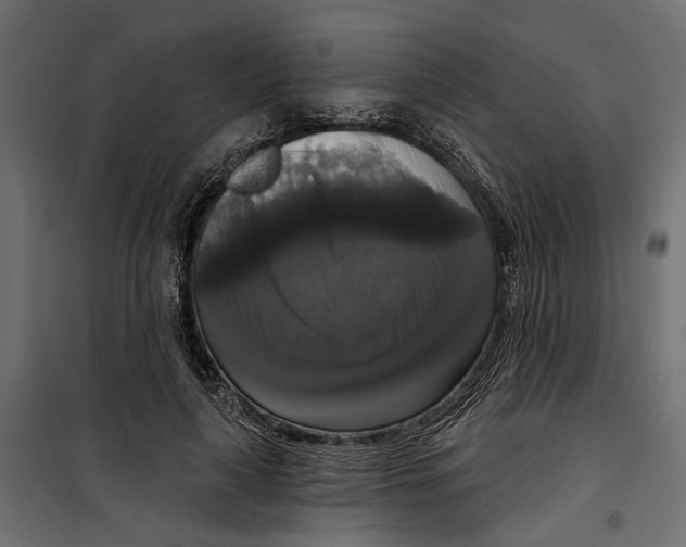 X0000099950643200806201314