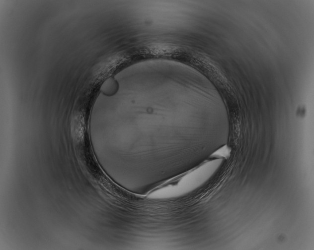 X0000099950644200806201314