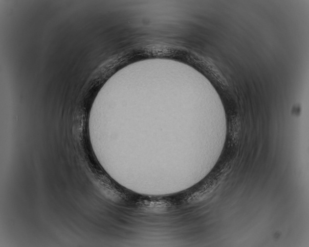 X0000099950645200806201314