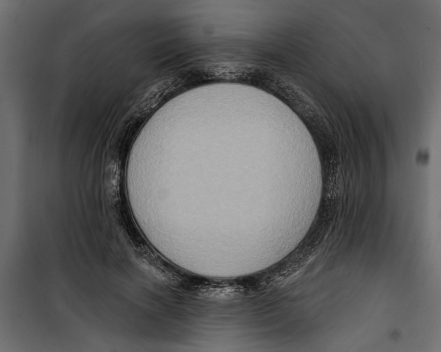 X0000099950646200806201314