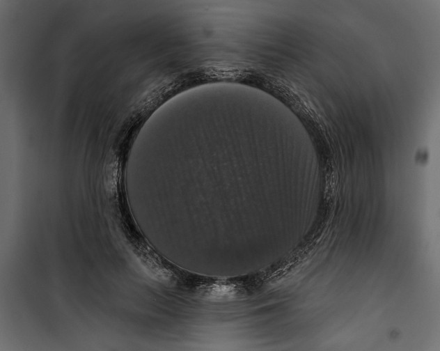 X0000099950647200806201314