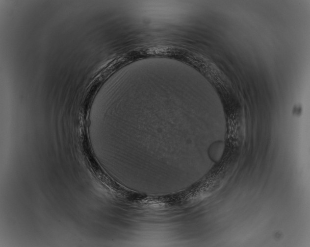 X0000099950648200806201314