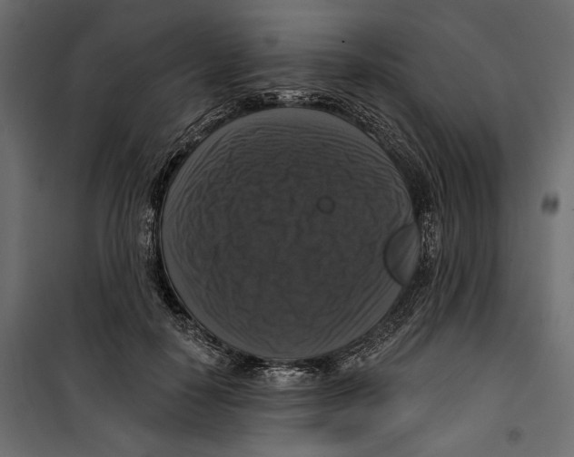 X0000099950650200806201314