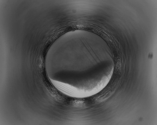 X0000099950651200806201314