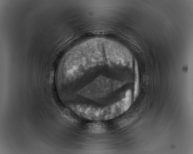 X0000099950652200806201314