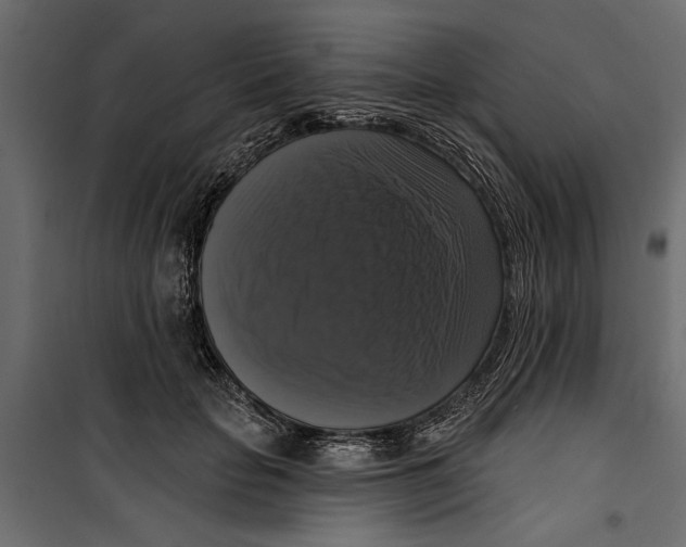 X0000099950653200806201314