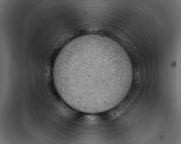 X0000099950654200806201314
