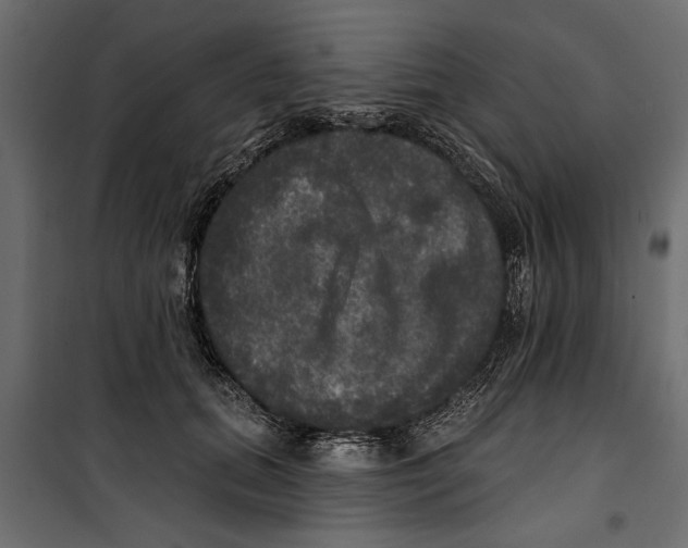 X0000099950655200806201314