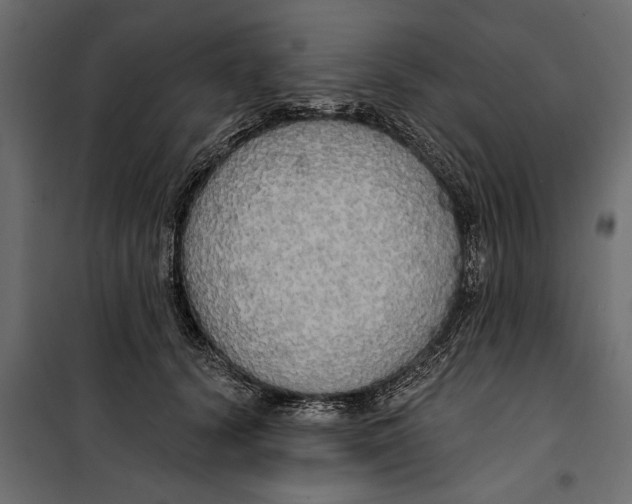 X0000099950656200806201314