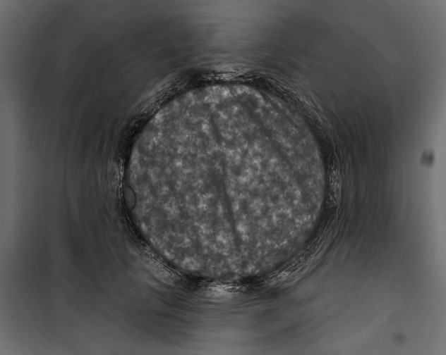 X0000099950657200806201314