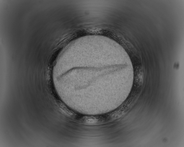 X0000099950658200806201314
