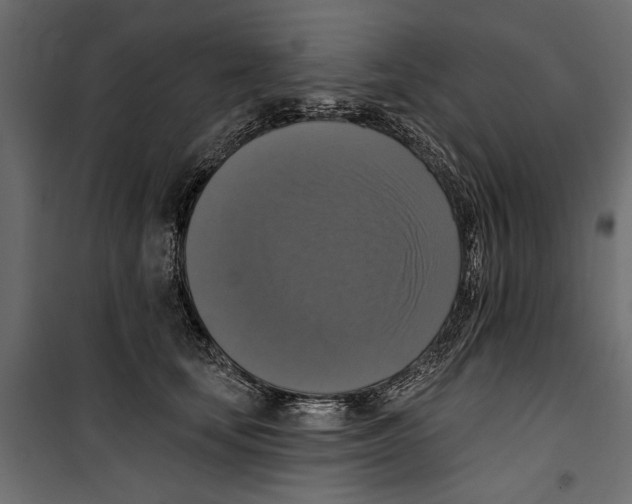 X0000099950659200806201314
