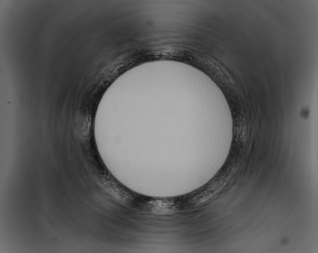 X0000099950660200806201314