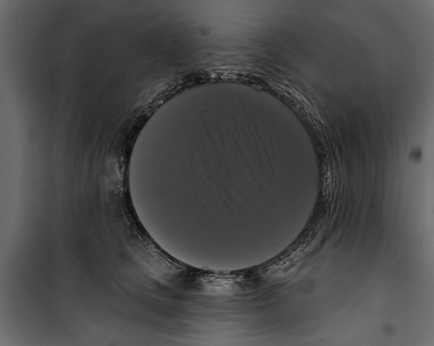 X0000099950661200806201314