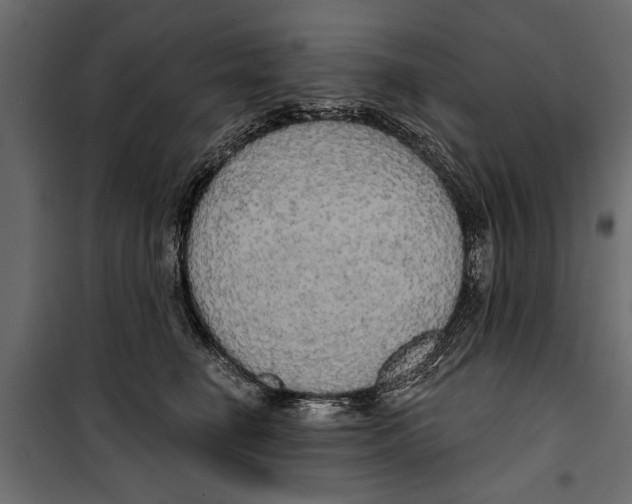 X0000099950662200806201314