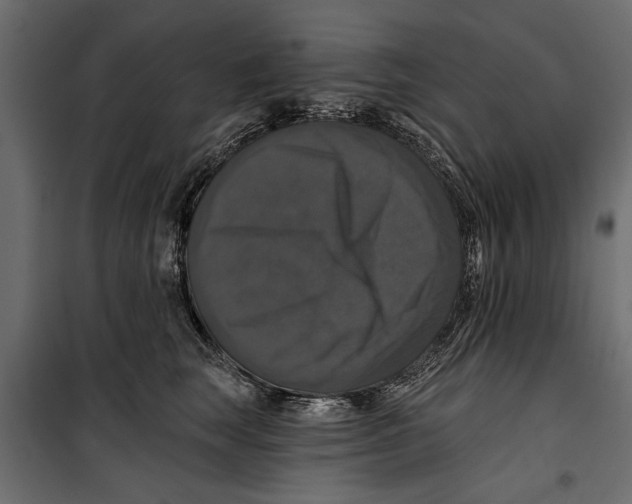 X0000099950663200806201314