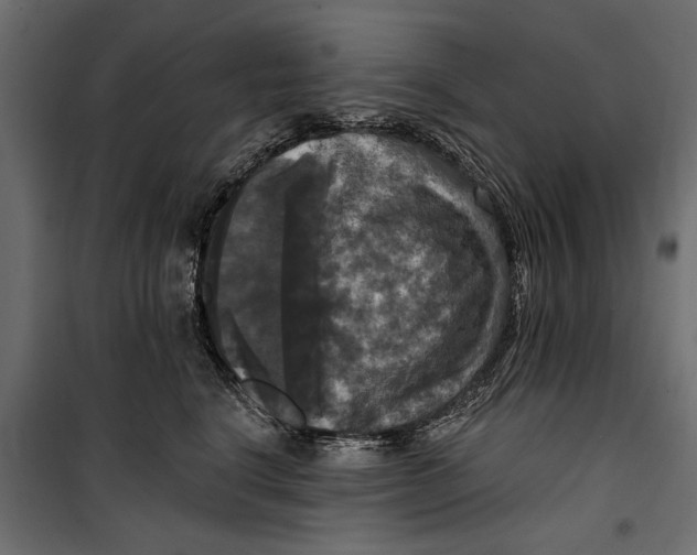 X0000099950664200806201314
