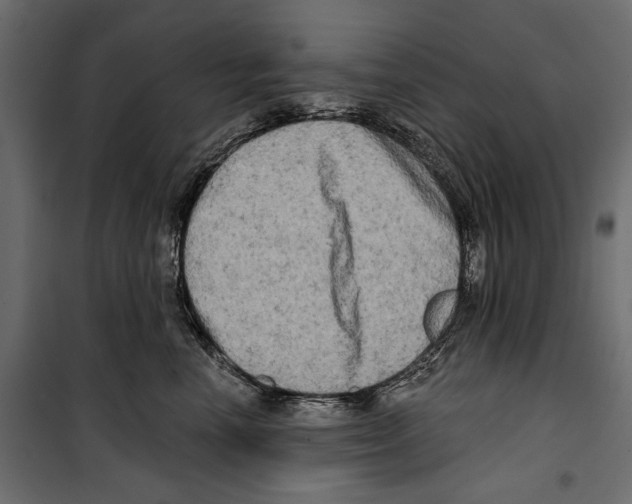 X0000099950666200806201314