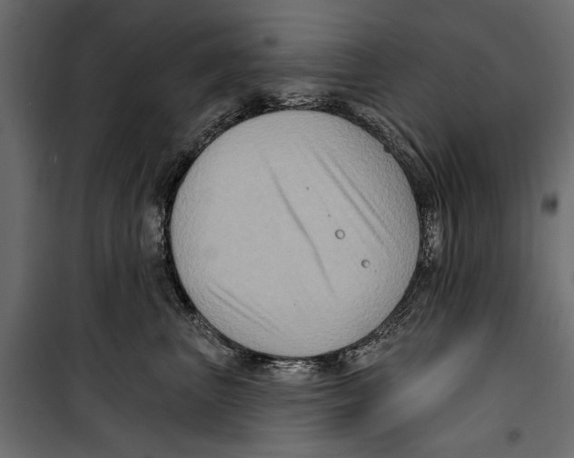 X0000099950667200806201314