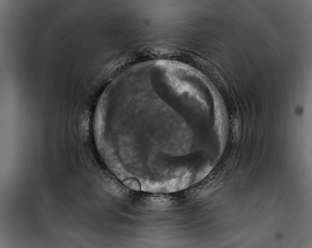 X0000099950668200806201314