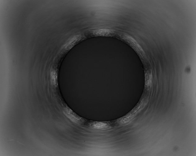 X0000099950669200806201314