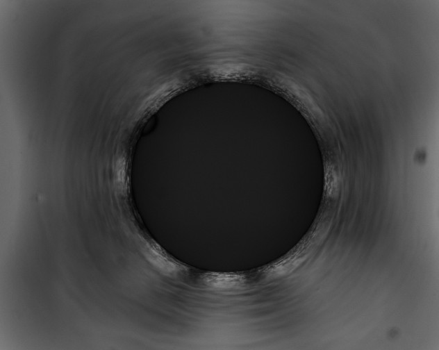 X0000099950670200806201314
