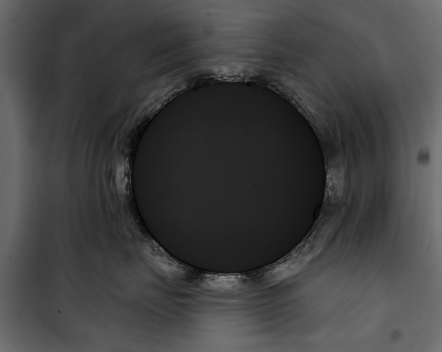 X0000099950671200806201314