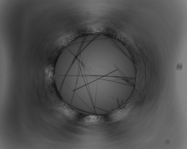 X0000099950672200806201314