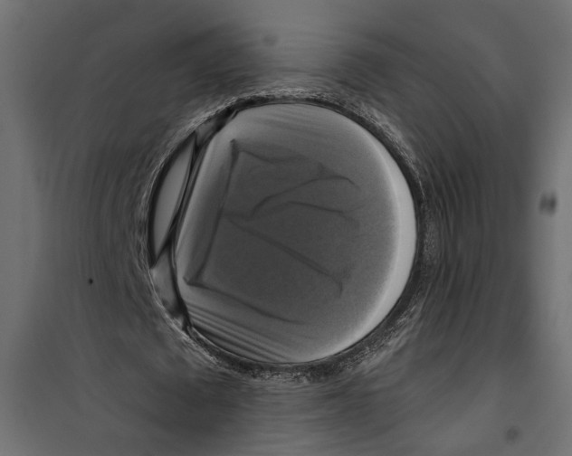 X0000099950673200806201313
