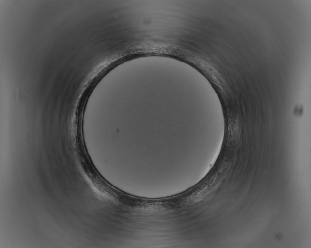 X0000099950674200806201313