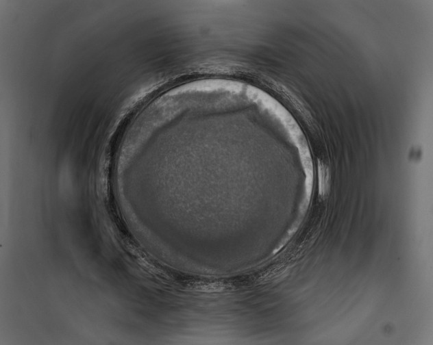 X0000099950675200806201313