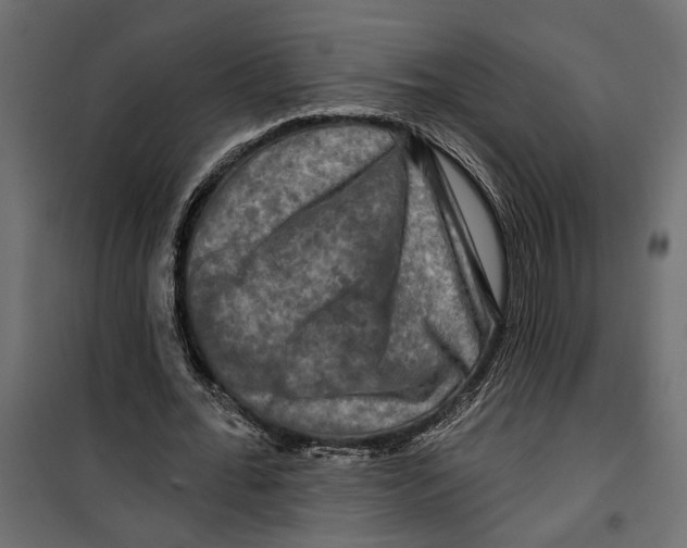 X0000099950676200806201313