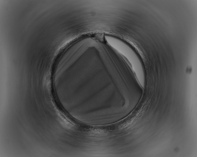 X0000099950677200806201313