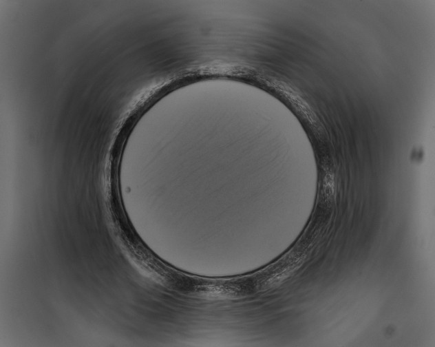 X0000099950678200806201313