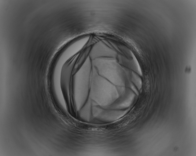 X0000099950680200806201313